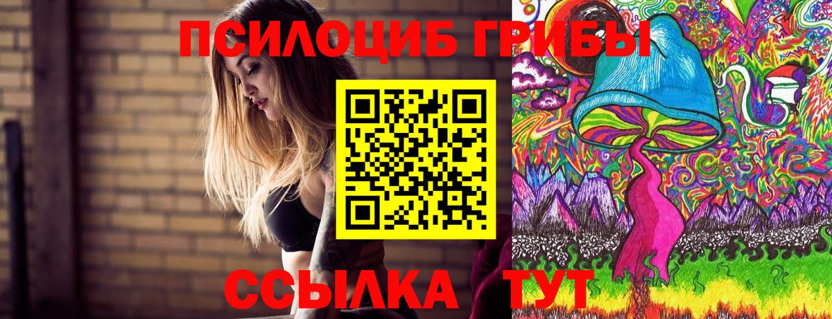 Псилоцибиновые грибы Psilocybe Медногорск