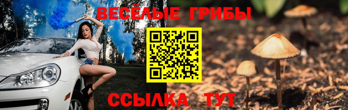 Медногорск  дарнет шоп  Вход с VPN  Псилоцибиновые грибы Psilocybe 